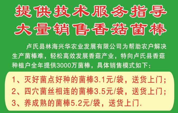 林海興華大量銷售香菇菌棒司并提供技術服務指導