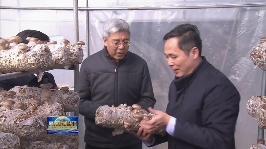 省長尹弘來到盧氏縣就脫貧攻堅工作和經濟社會發展情況深入調研