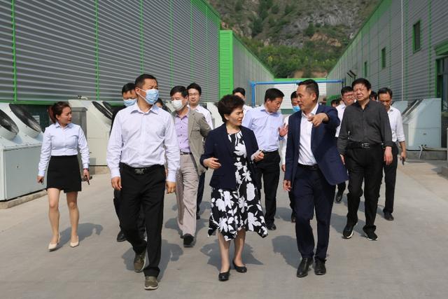 信念集團盧氏林海興華公司迎來薛景霞一行考察交流