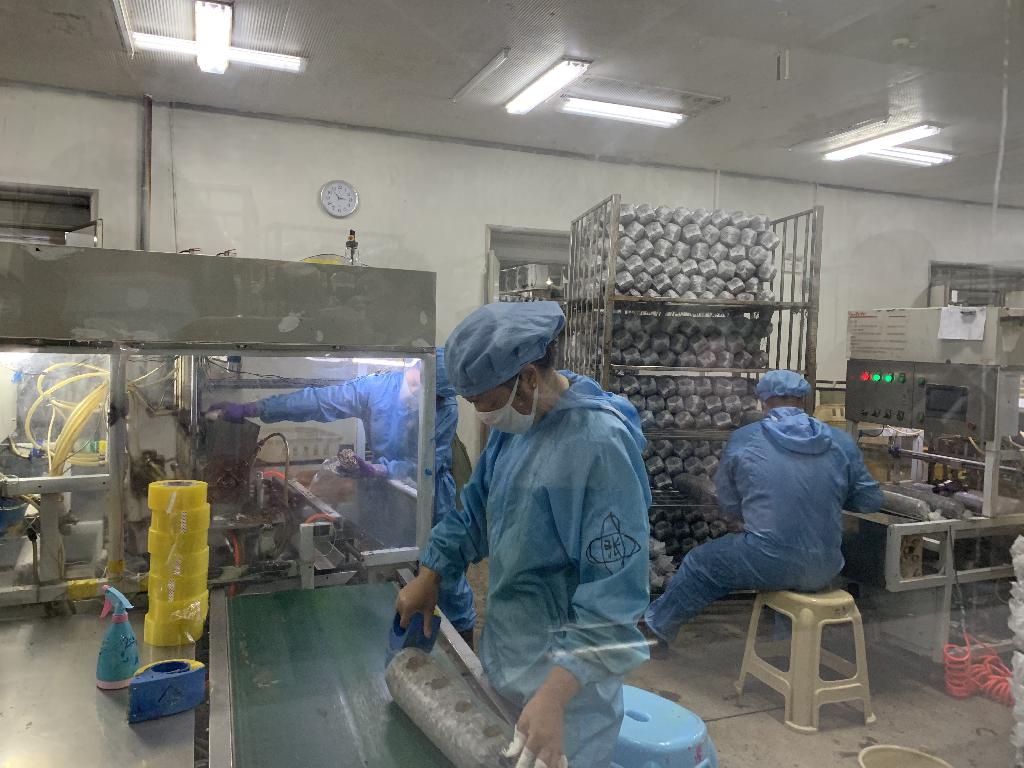 小香菇撐起農民致富傘