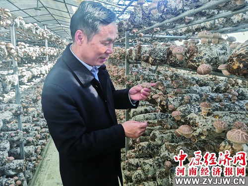 做強產(chǎn)業(yè)更好造福群眾